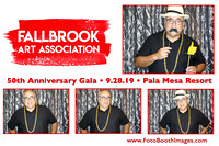 Fallbrook Art Association