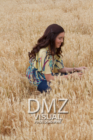 dmz-7792